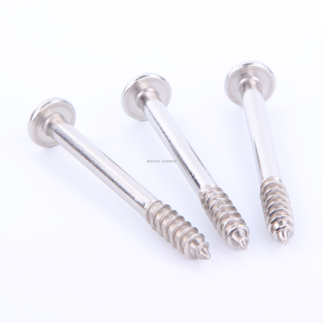 Stainless Steel Hex Socket Head Lag Screws