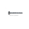 Stainless Steel Pan Flange Truss Head Machine Screws