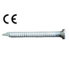Double Countersunk Head Anchor Nails