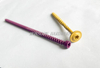 Painted Torx Head Self-Tapping Screws with Cut Point