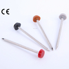 Stainless Steel Colored Plastic Top Nails
