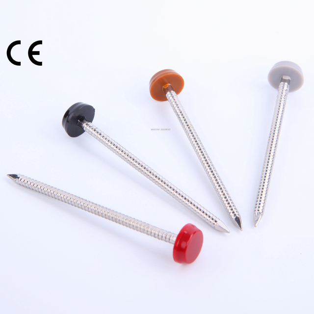 Stainless Steel Colored Plastic Top Nails