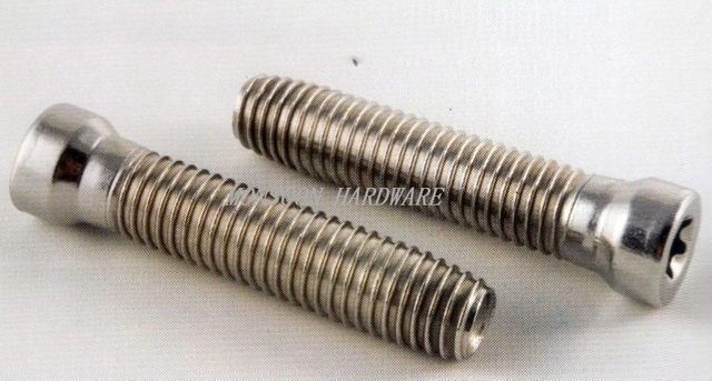 Stainless Steel Oval Torx Head Clamp Screws
