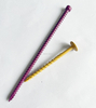 Painted Torx Head Self-Tapping Screws with Cut Point