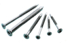 Stainless Steel Nail Screws