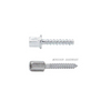Hex Socket Head Concrete Screws