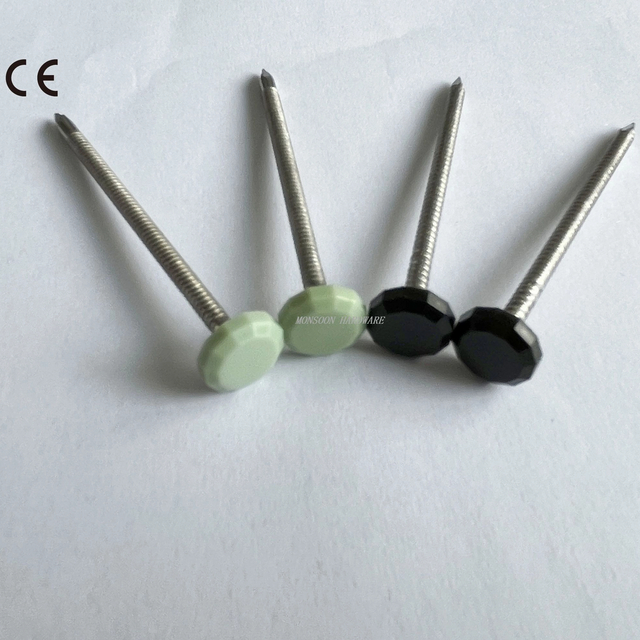 Polygonal Plastic 12 Sided Head Stainless Steel Polytop Nails
