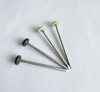 Polygonal Plastic 12 Sided Head Stainless Steel Polytop Nails