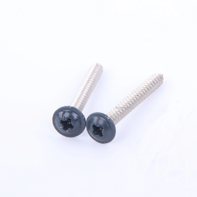 Stainless Steel Pan Head Phillips Screws with Painted Head